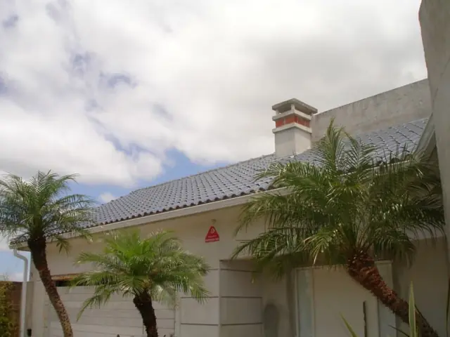 Casa com palmeiras e calha ao longo do telhado